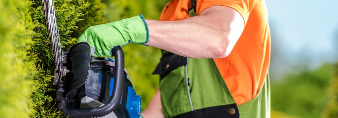 comment choisir un taille haie électrique